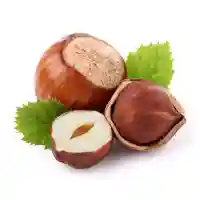 Haselnuss